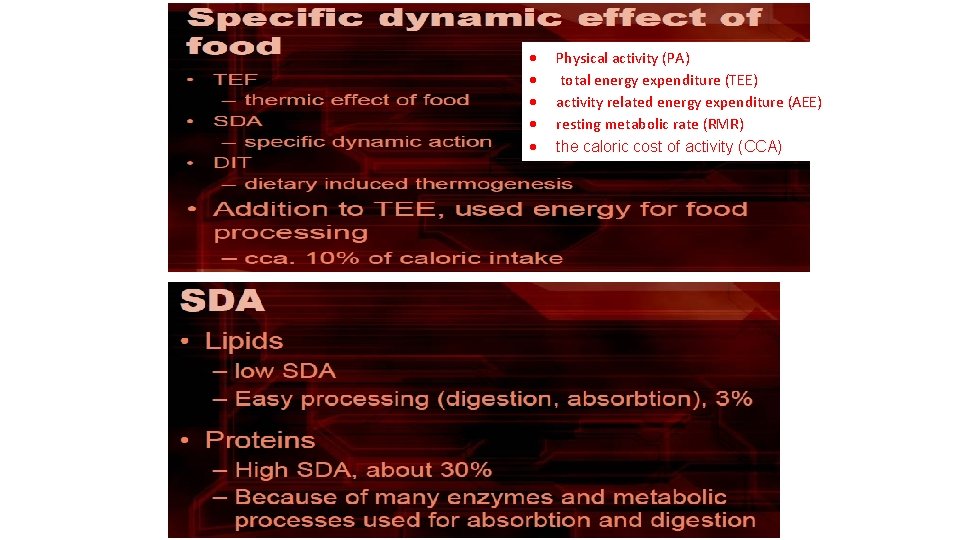  Physical activity (PA) total energy expenditure (TEE) activity related energy expenditure (AEE) resting