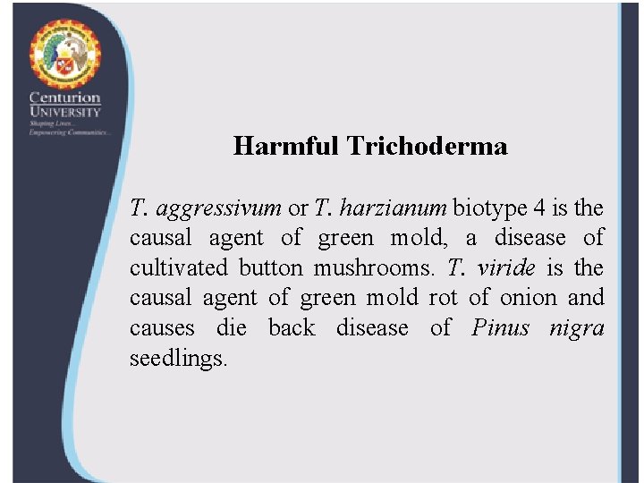 Harmful Trichoderma T. aggressivum or T. harzianum biotype 4 is the causal agent of