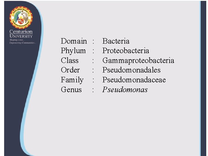 Domain Phylum Class Order Family Genus : : : Bacteria Proteobacteria Gammaproteobacteria Pseudomonadales Pseudomonadaceae
