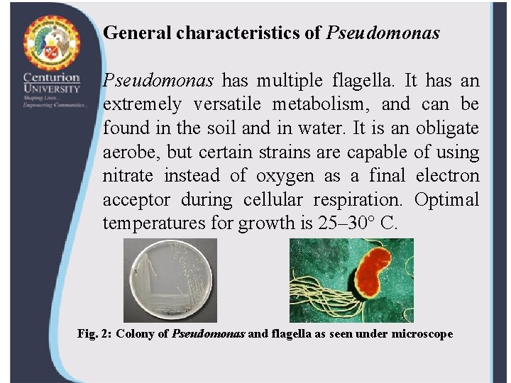 General characteristics of Pseudomonas has multiple flagella. It has an extremely versatile metabolism, and