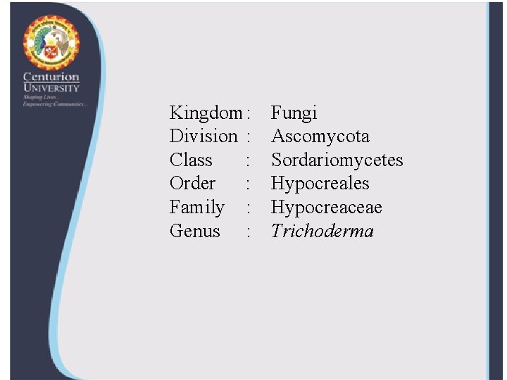 Kingdom: Division : Class : Order : Family : Genus : Fungi Ascomycota Sordariomycetes