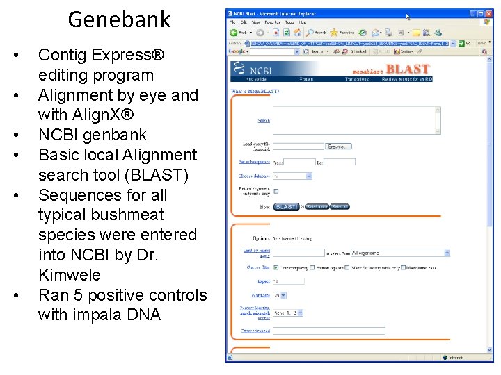 Genebank • • • Contig Express® editing program Alignment by eye and with Align.