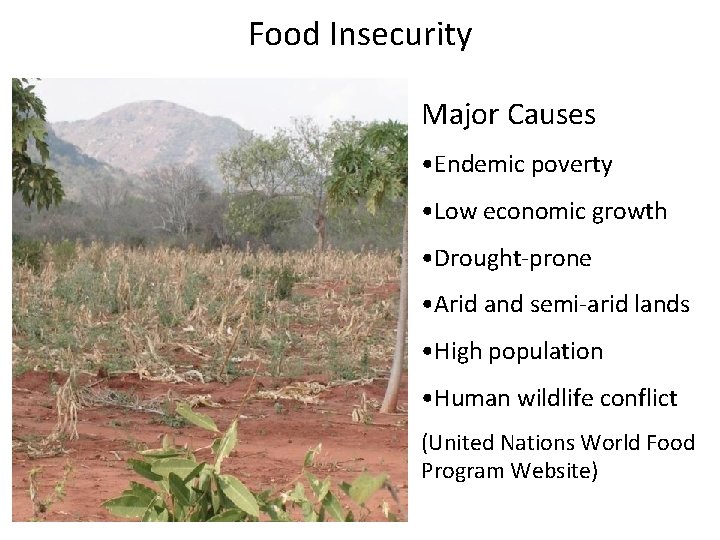 Food Insecurity Major Causes • Endemic poverty • Low economic growth • Drought-prone •