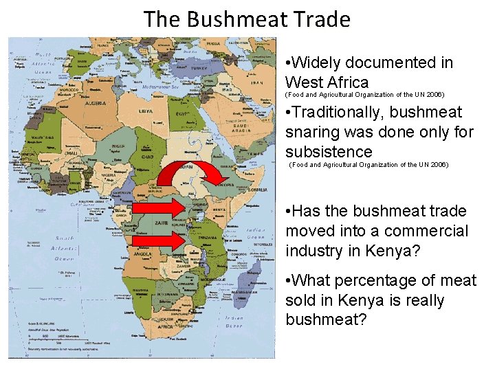 The Bushmeat Trade • Widely documented in West Africa (Food and Agricultural Organization of