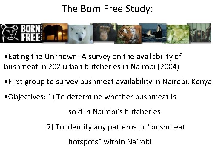 The Born Free Study: • Eating the Unknown- A survey on the availability of