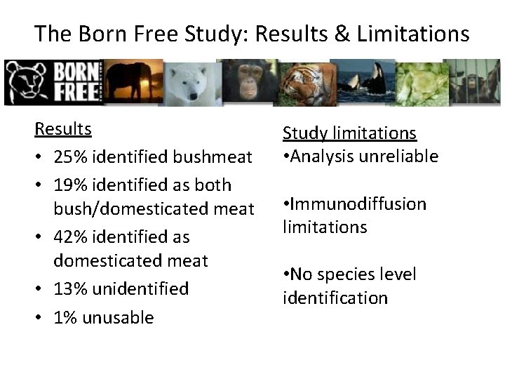 The Born Free Study: Results & Limitations Results • 25% identified bushmeat • 19%