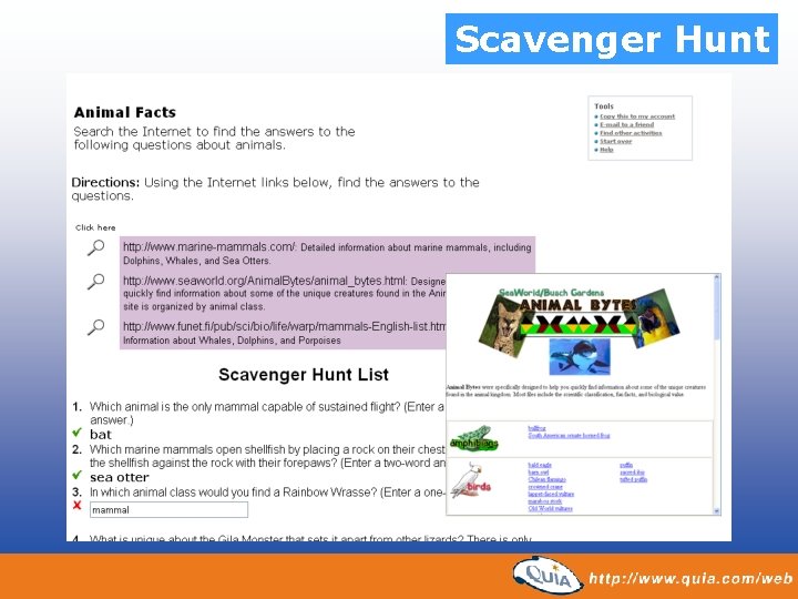 Scavenger Hunt 