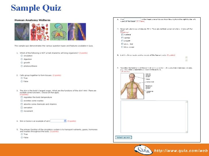 Sample Quiz 
