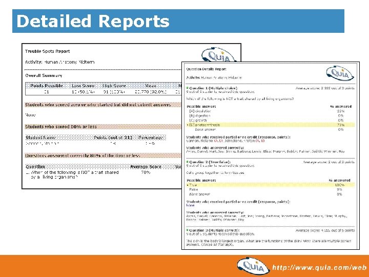 Detailed Reports 