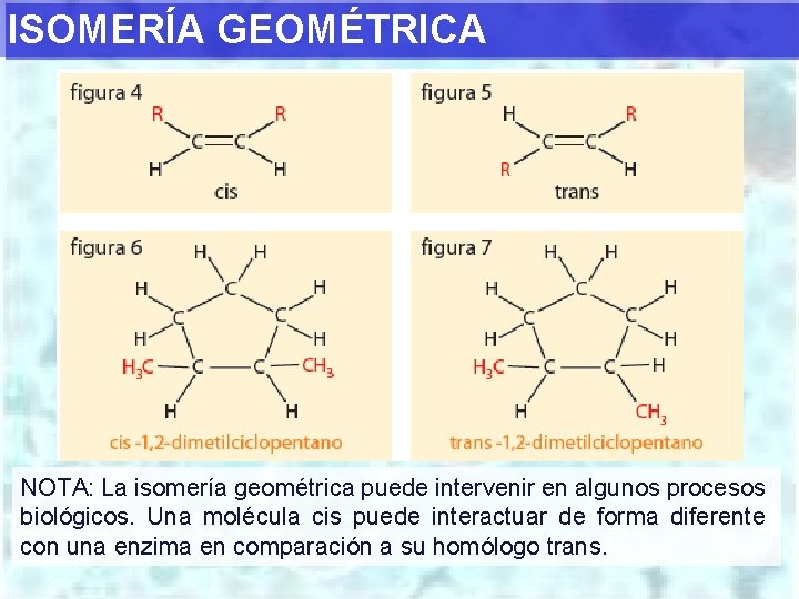 ISOMERÍA GEOMÉTRICA NOTA: La isomería geométrica puede intervenir en algunos procesos biológicos. Una molécula