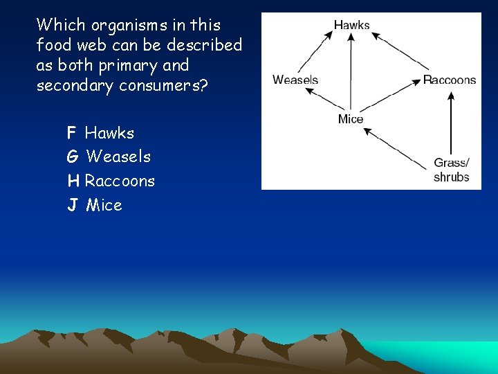 Which organisms in this food web can be described as both primary and secondary