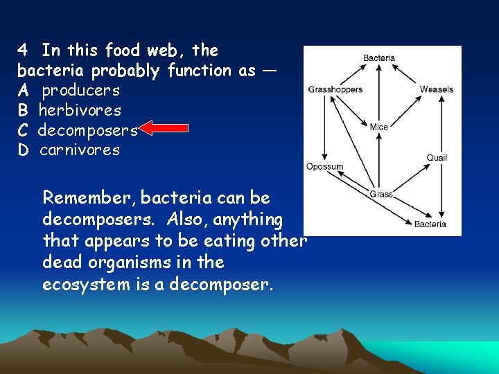 4 In this food web, the bacteria probably function as — A producers B