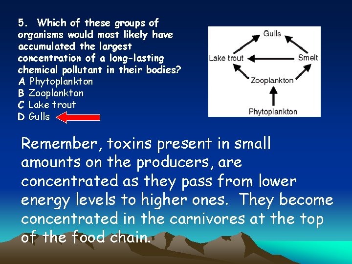 5. Which of these groups of organisms would most likely have accumulated the largest
