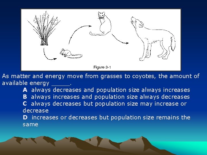 As matter and energy move from grasses to coyotes, the amount of available energy
