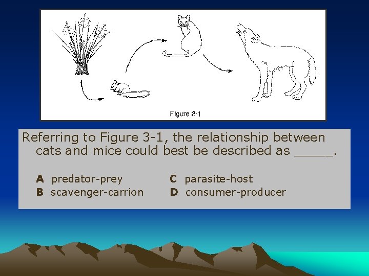 Referring to Figure 3 -1, the relationship between cats and mice could best be