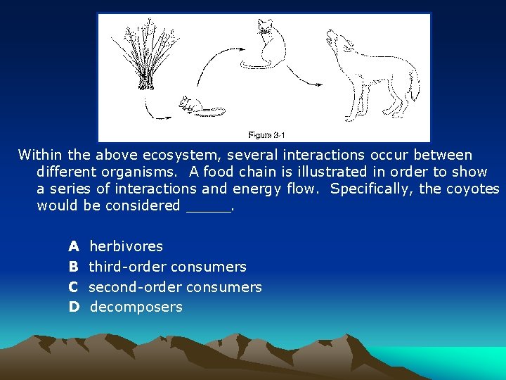 Within the above ecosystem, several interactions occur between different organisms. A food chain is