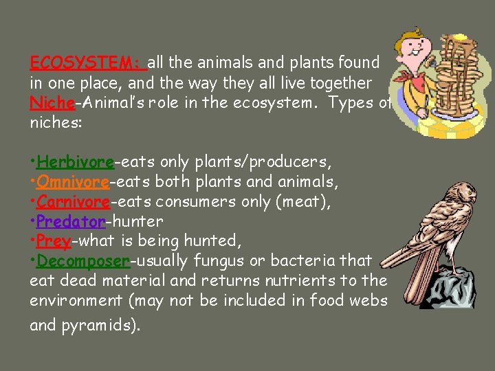 ECOSYSTEM: all the animals and plants found in one place, and the way they