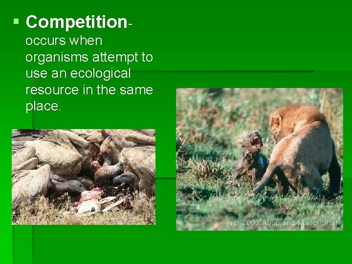 § Competitionoccurs when organisms attempt to use an ecological resource in the same place.