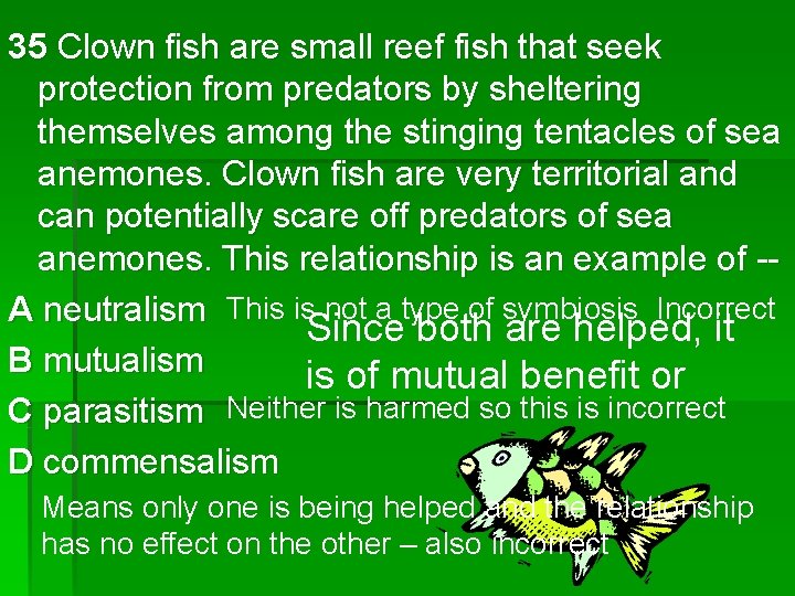 35 Clown fish are small reef fish that seek protection from predators by sheltering