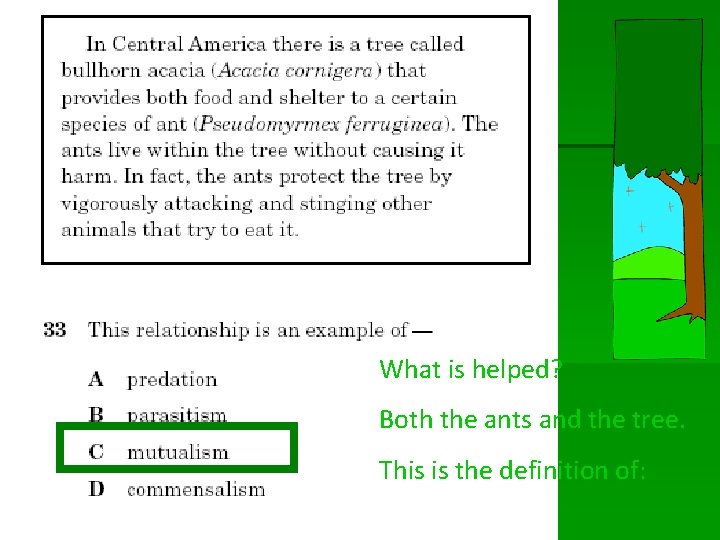 What is helped? Both the ants and the tree. This is the definition of: