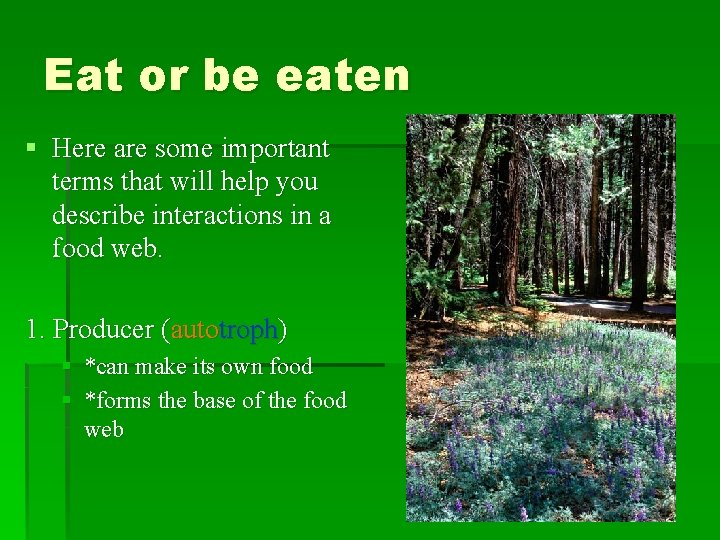 Eat or be eaten § Here are some important terms that will help you
