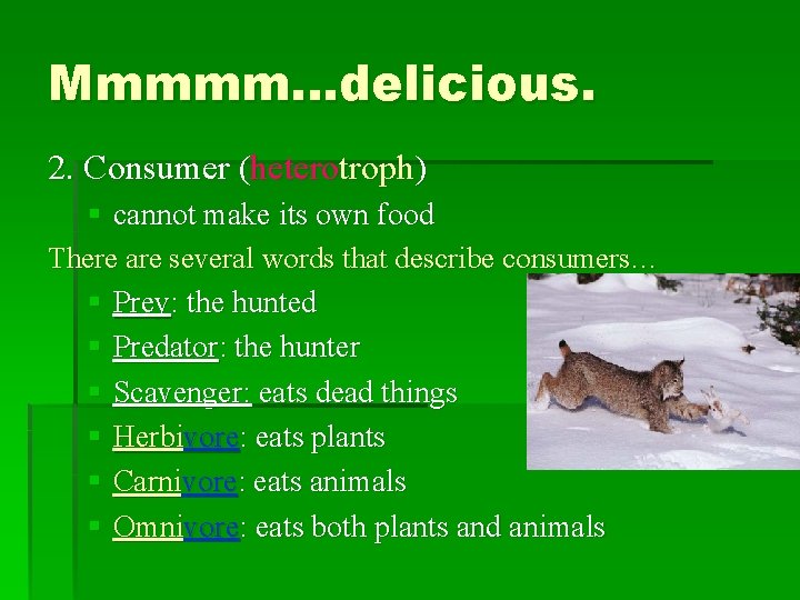 Mmmmm…delicious. 2. Consumer (heterotroph) § cannot make its own food There are several words
