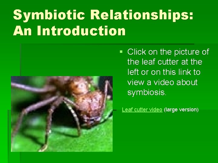 Symbiotic Relationships: An Introduction § Click on the picture of the leaf cutter at