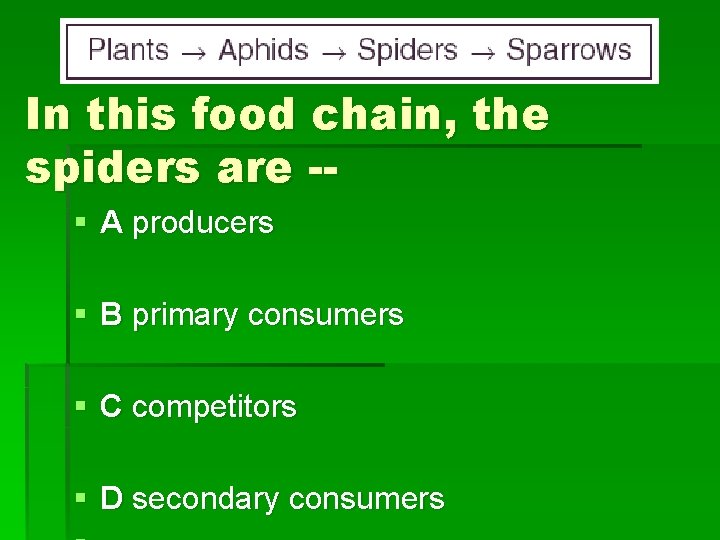 In this food chain, the spiders are -§ A producers § B primary consumers