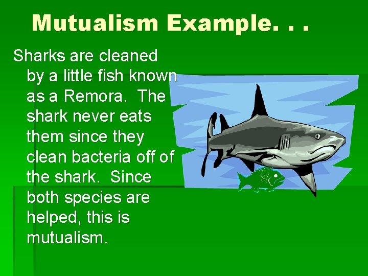 Mutualism Example. . . Sharks are cleaned by a little fish known as a