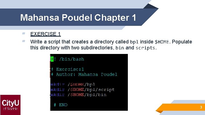 Mahansa Poudel Chapter 1 ▰ ▰ EXERCISE 1 Write a script that creates a