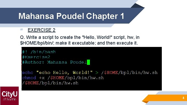 Mahansa Poudel Chapter 1 ▰ EXERCISE 2 Q. Write a script to create the