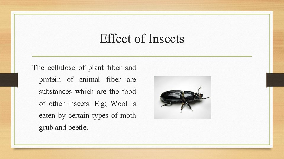 Effect of Insects The cellulose of plant fiber and protein of animal fiber are