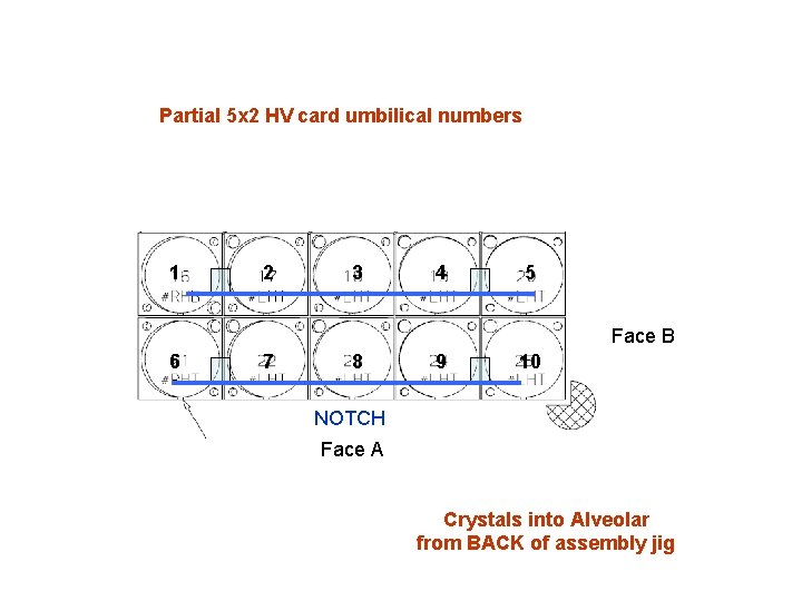 Partial 5 x 2 HV card umbilical numbers 1 2 3 4 5 Face