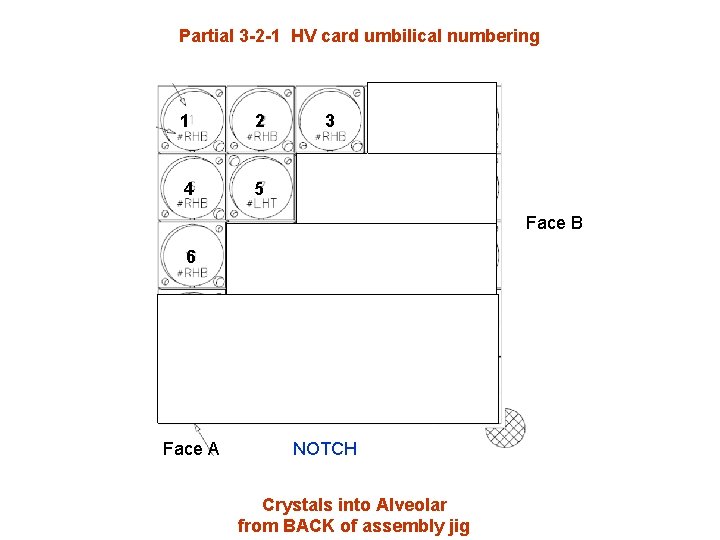 Partial 3 -2 -1 HV card umbilical numbering 1 2 4 5 3 Face