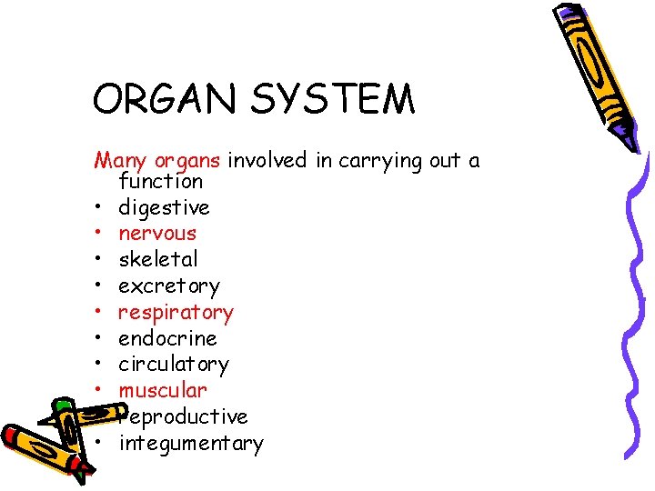 ORGAN SYSTEM Many organs involved in carrying out a function • digestive • nervous ORGAN SYSTEM Many organs involved in carrying out a function • digestive • nervous