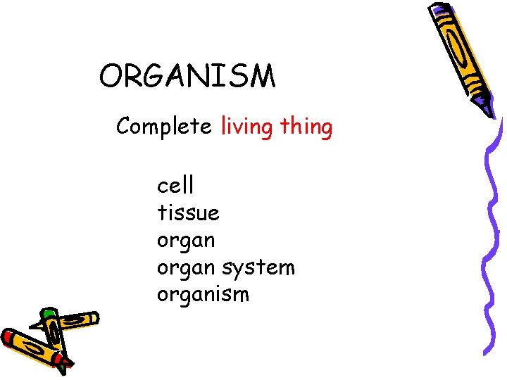 ORGANISM Complete living thing cell tissue organ system organism ORGANISM Complete living thing cell tissue organ system organism