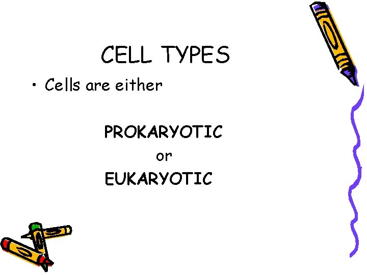 CELL TYPES • Cells are either PROKARYOTIC or EUKARYOTIC CELL TYPES • Cells are either PROKARYOTIC or EUKARYOTIC