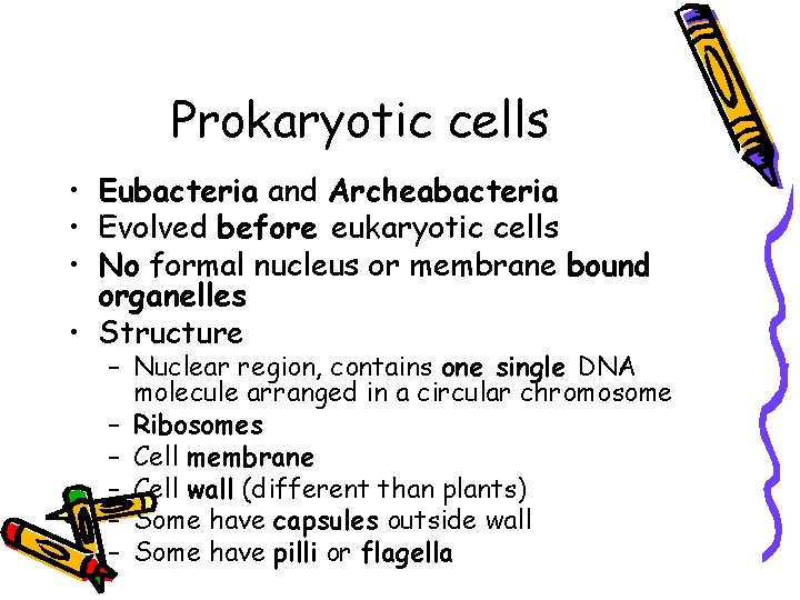 Prokaryotic cells • Eubacteria and Archeabacteria • Evolved before eukaryotic cells • No formal Prokaryotic cells • Eubacteria and Archeabacteria • Evolved before eukaryotic cells • No formal