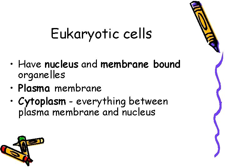 Eukaryotic cells • Have nucleus and membrane bound organelles • Plasma membrane • Cytoplasm Eukaryotic cells • Have nucleus and membrane bound organelles • Plasma membrane • Cytoplasm