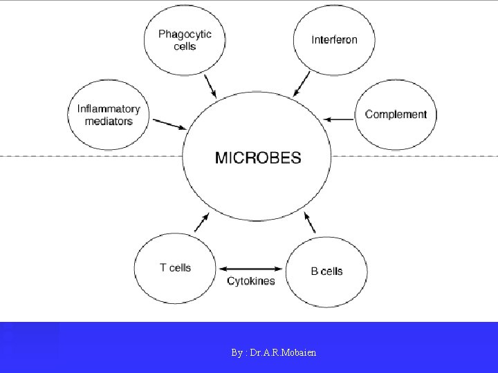 By : Dr. A. R. Mobaien 