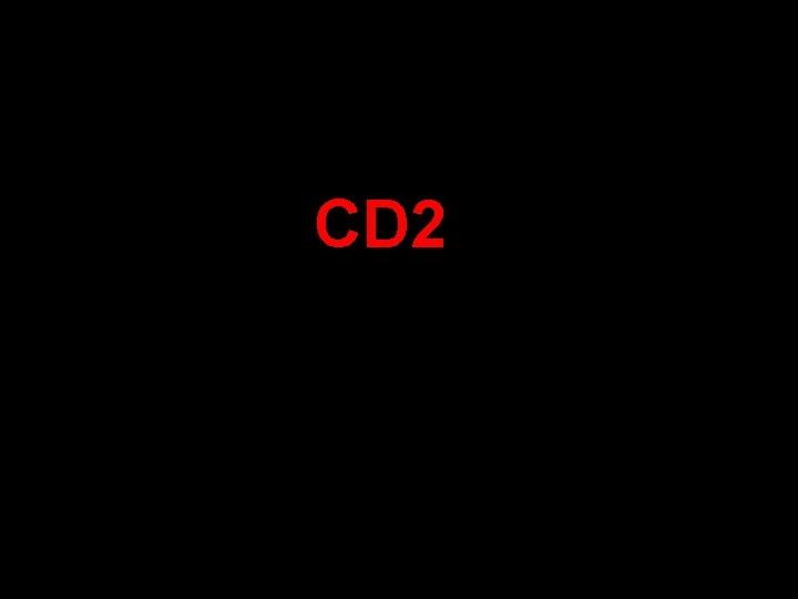 CD 2 2/9/04 