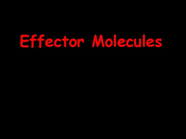 Effector Molecules 2/9/04 