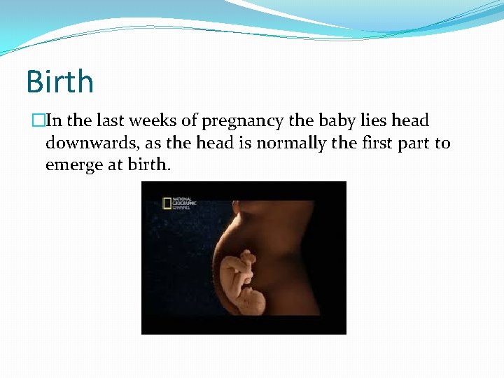 Birth �In the last weeks of pregnancy the baby lies head downwards, as the