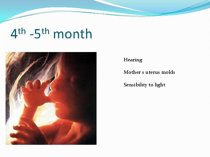 th 4 th -5 month Hearing Mother s uterus molds Sensibility to light 