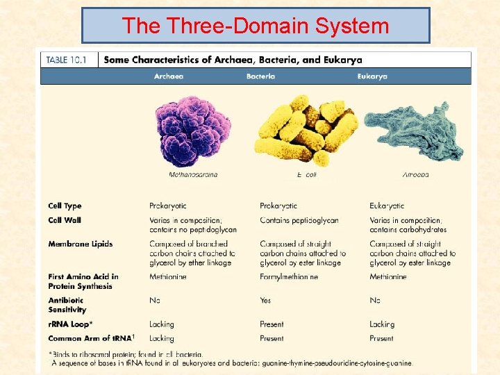 The Three-Domain System 