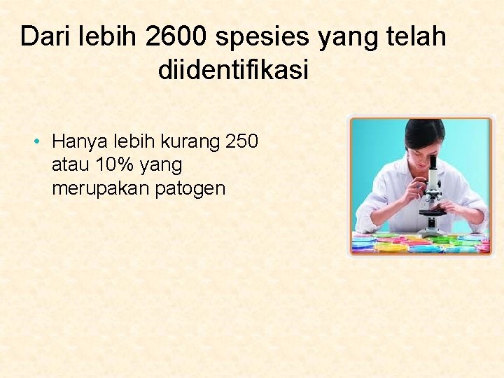 Dari lebih 2600 spesies yang telah diidentifikasi • Hanya lebih kurang 250 atau 10%