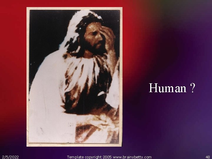 Human ? 2/5/2022 Template copyright 2005 www. brainybetty. com 48 