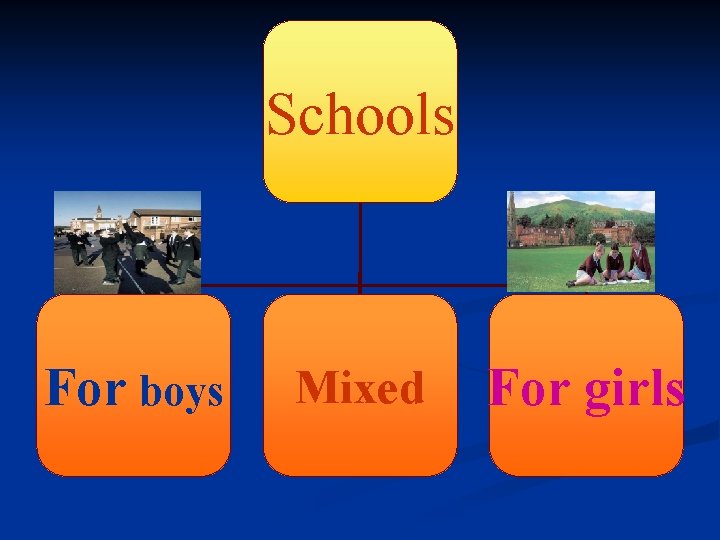 Schools For boys Mixed For girls 