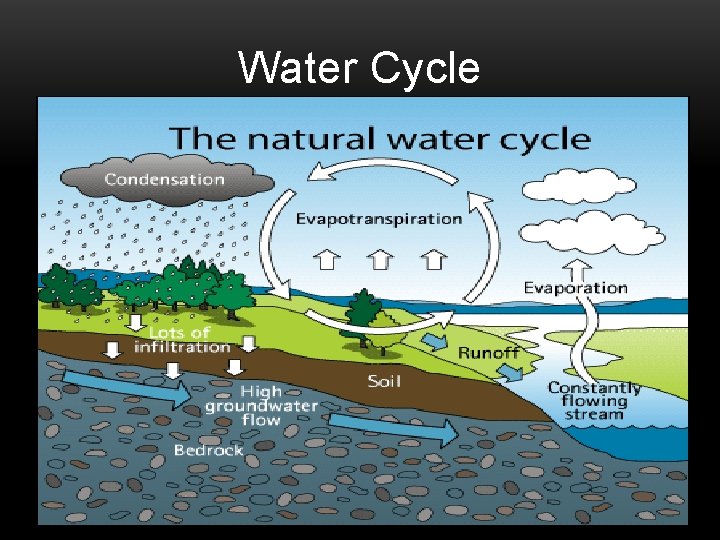 Water Cycle 