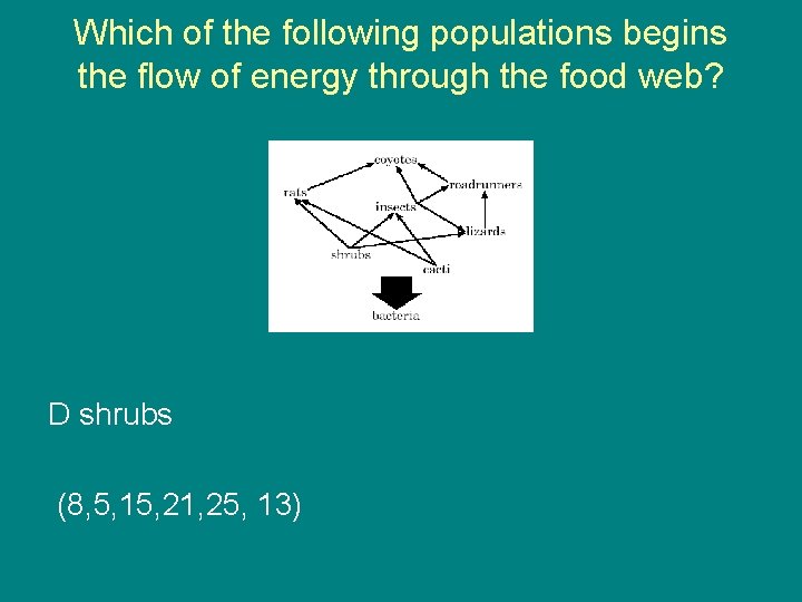 Which of the following populations begins the flow of energy through the food web?